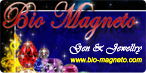 www.bio-magneto.com