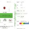 SBSC023t[1]