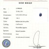 spc%20287%20m[1]