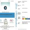 sps145 sps145