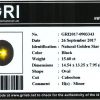 RSG 060